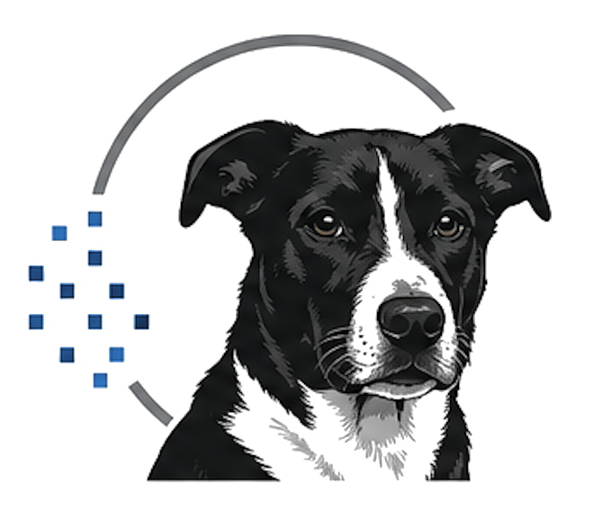 Remington Data Systems mark